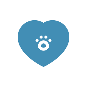 echocardiogram icon