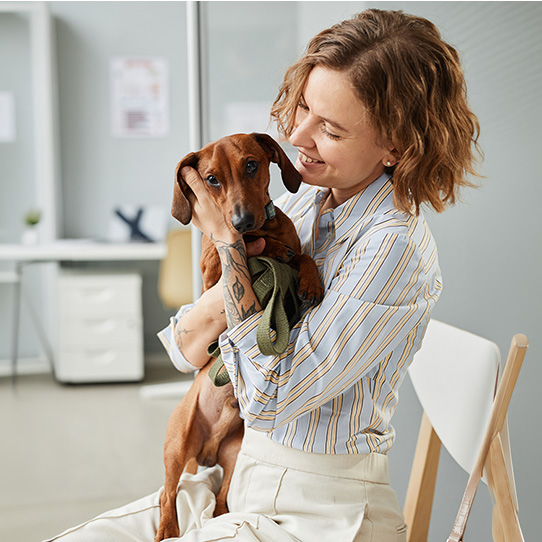 A content woman and her little brown dog in a veterinary waiting room