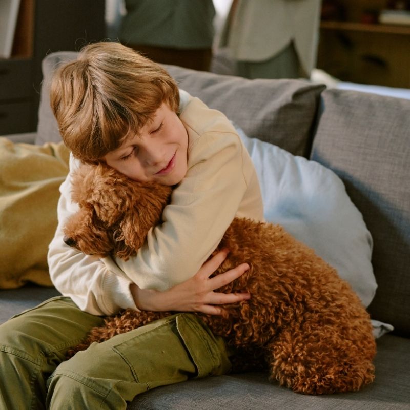 Boy hugging brown dog