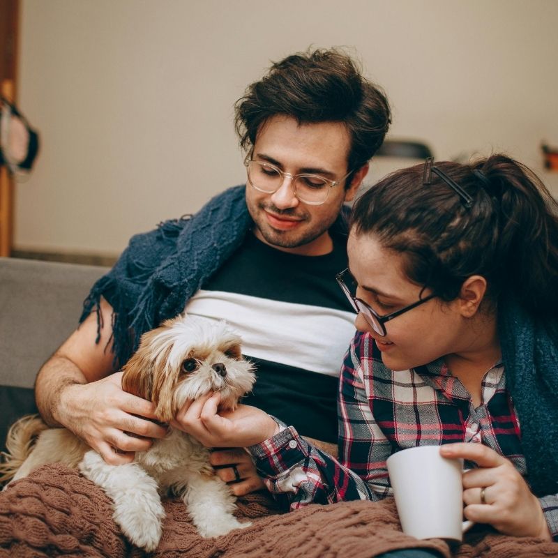 Couple petting dog on couch