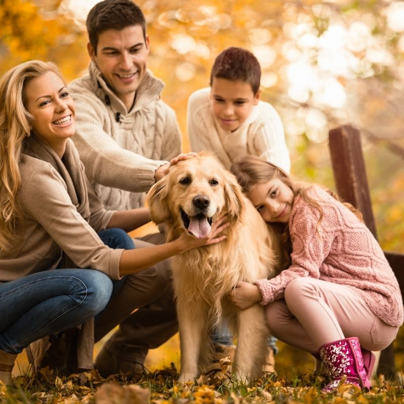 Family with dog, autumn