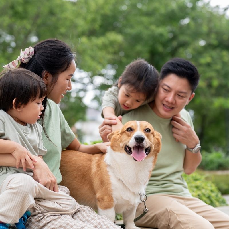 Family with friendly corgi dog
