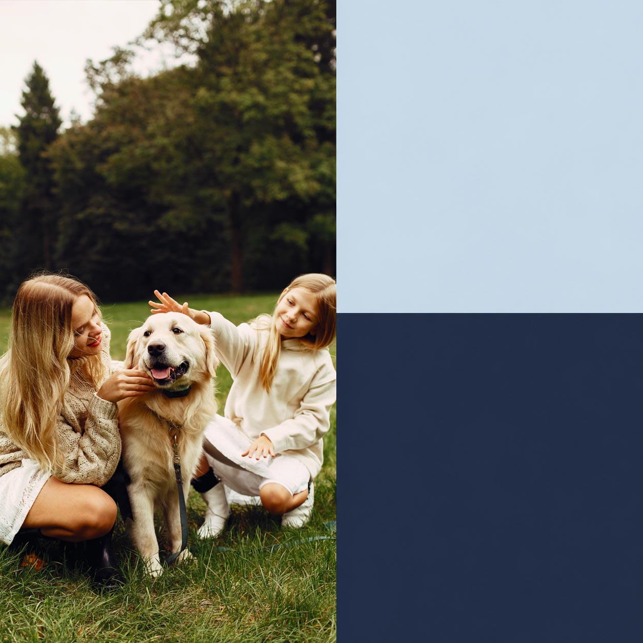 Girl, child, dog, park