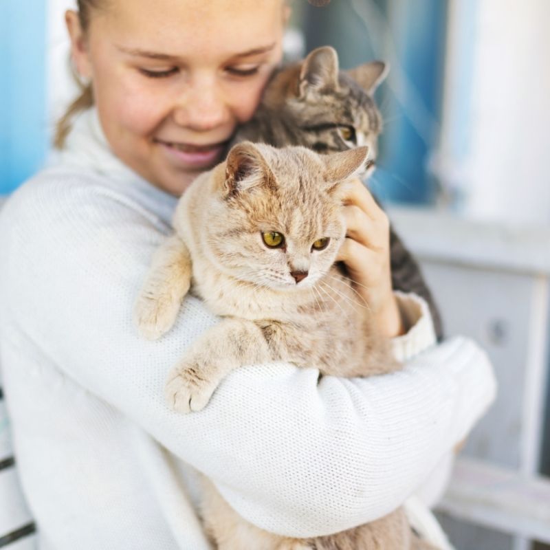 Girl holding two cats