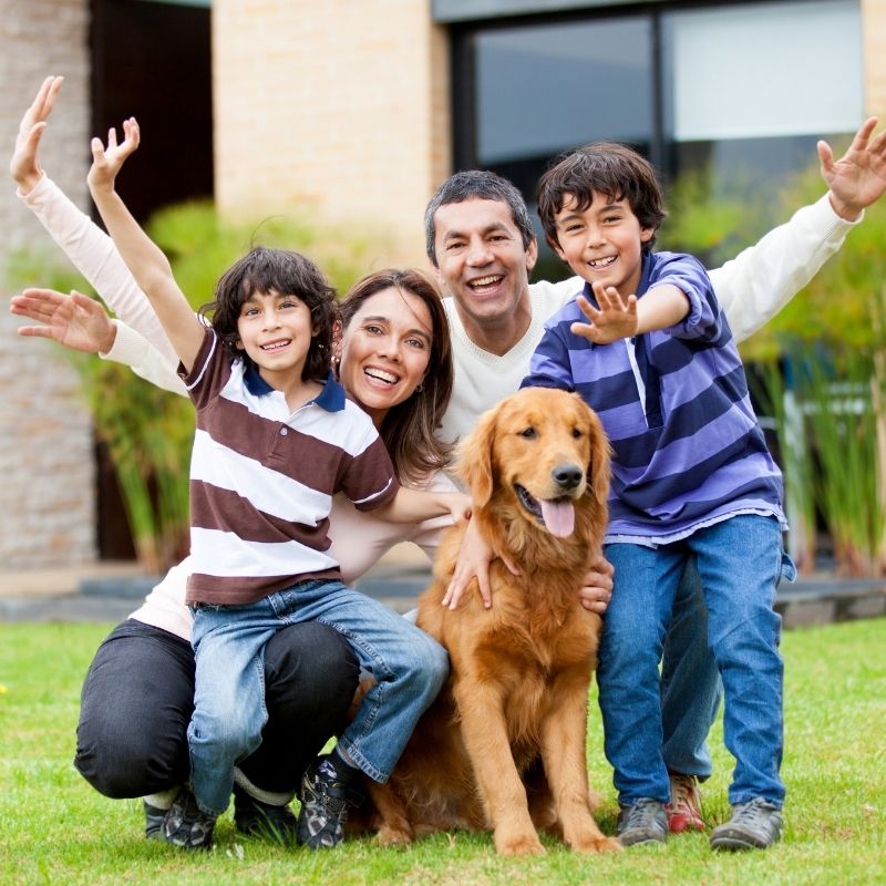 Happy family, golden retriever dog