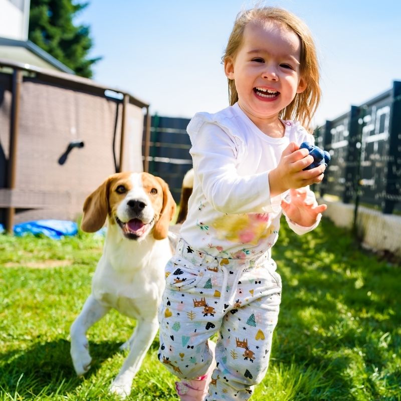 Happy toddler, dog playing.