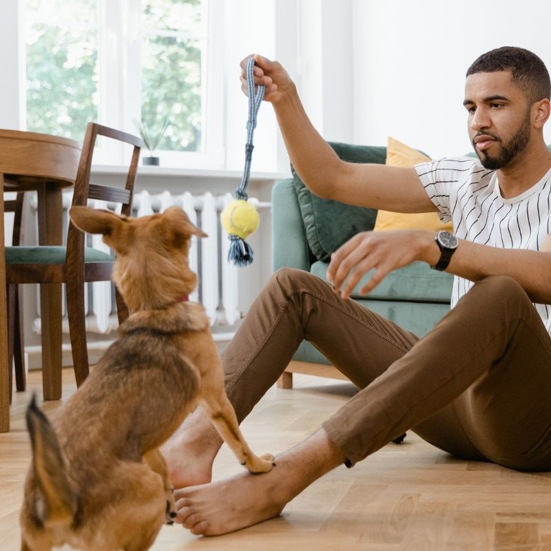 Man playing with dog