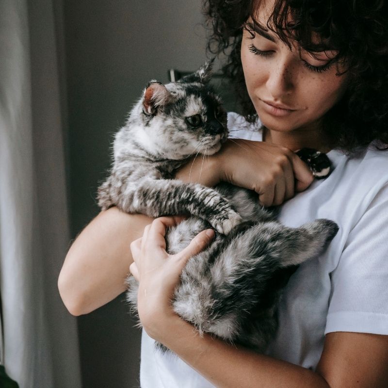 Woman embracing tabby cat.