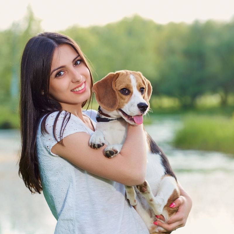 Woman holding beagle puppy