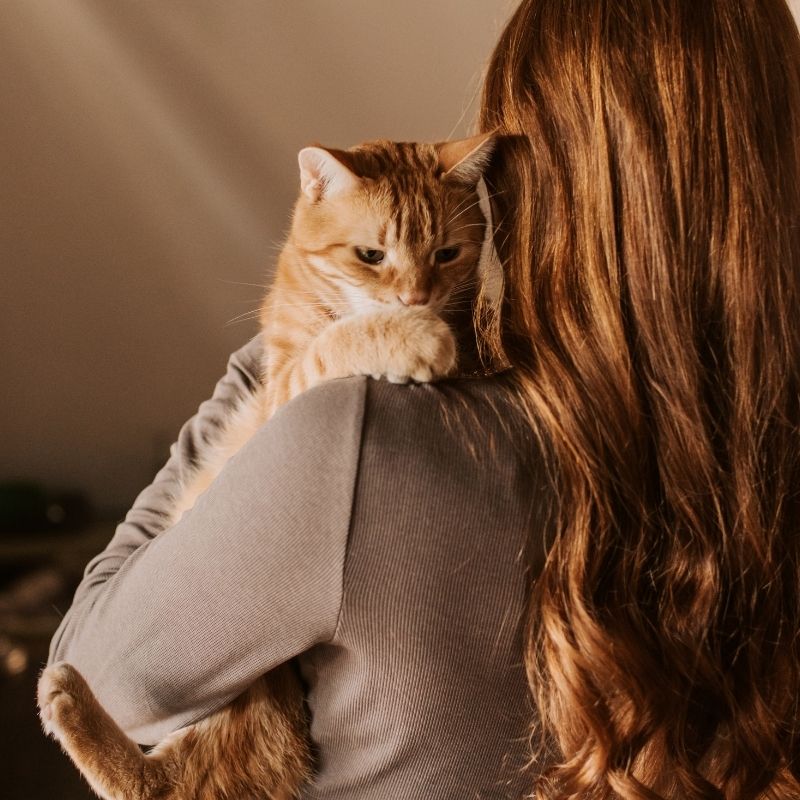 Woman holding ginger cat