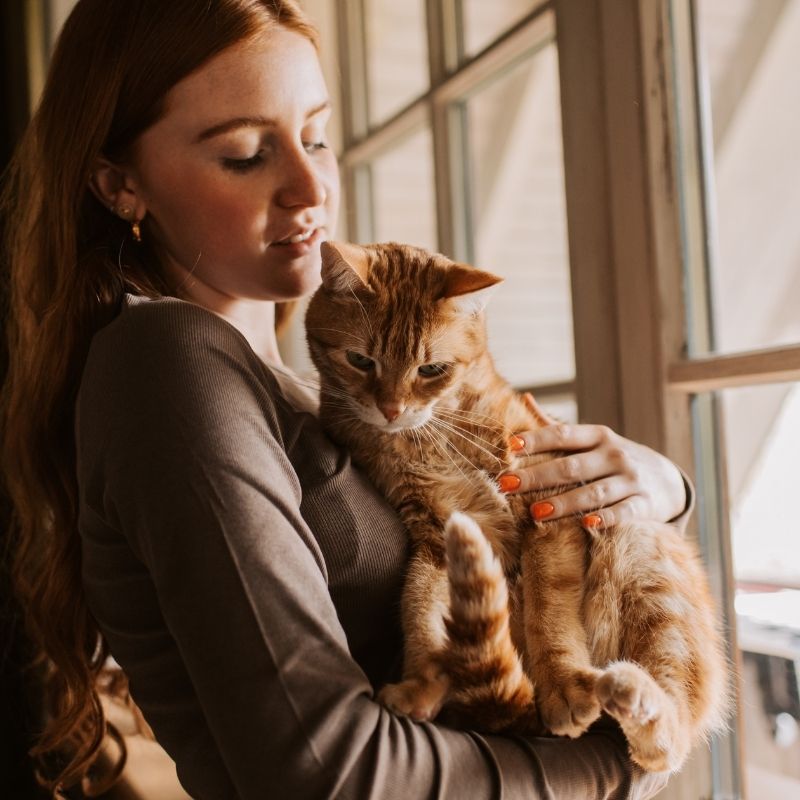 Woman holding ginger cat