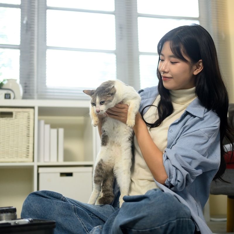 Woman holding gray cat