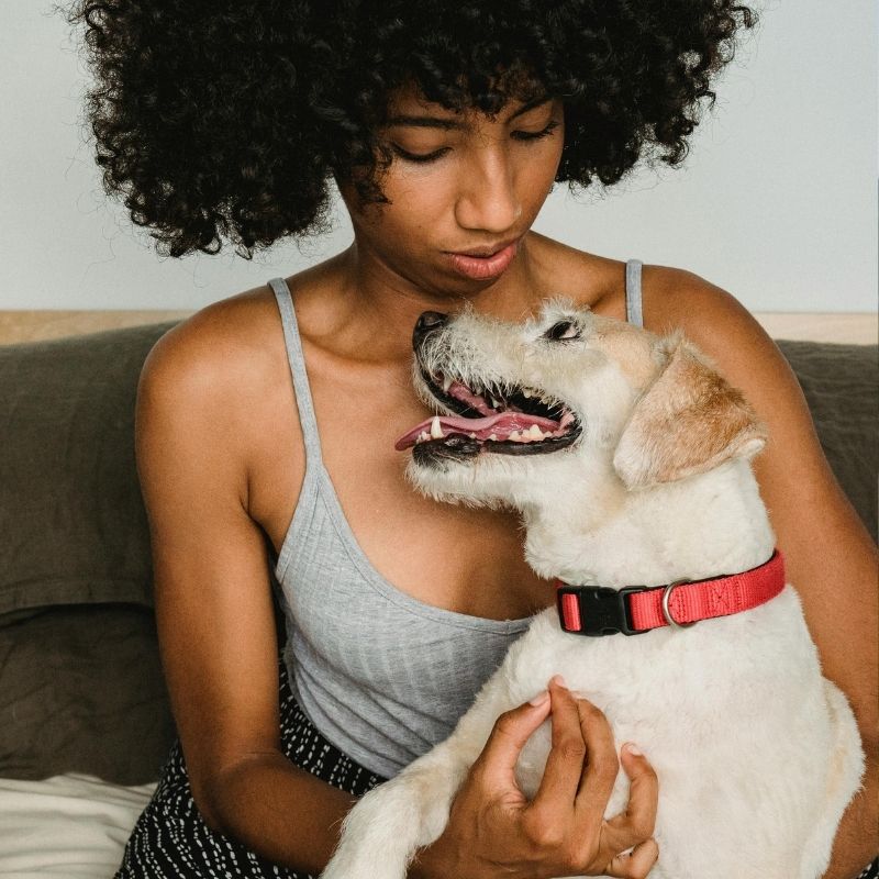 Woman holding happy dog