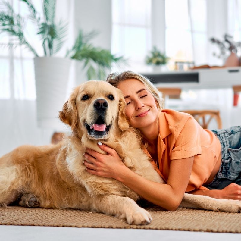 Woman hugging golden retriever dog.