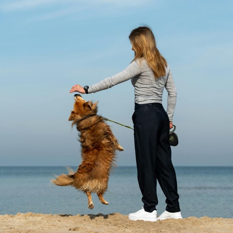 Woman playing with dog.