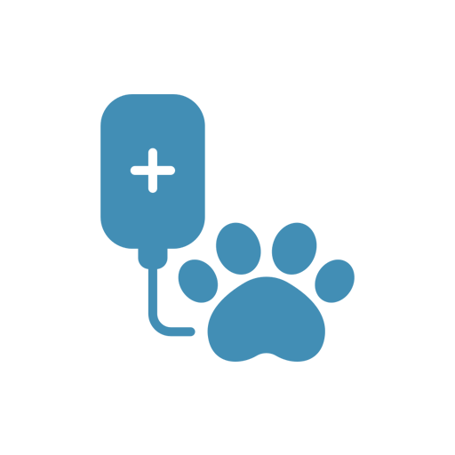 Pet Laboratory Testing In San Diego, CA | Governor Animal Clinic